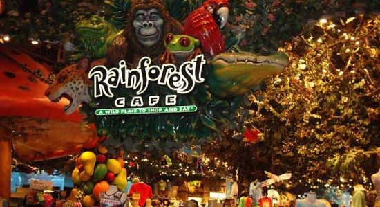 Family Restaurants Las Vegas Strip, Rainforest Cafe at MGM