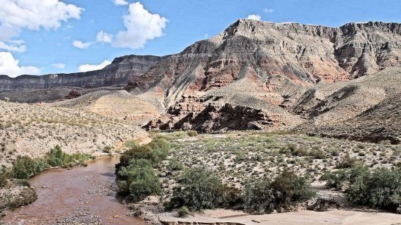 Mesquite Nevada Hiking Trails, Virgin River Canyon Recreation Area view of river cutting through canyon