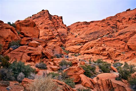 red rock canyon